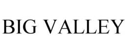 BIG VALLEY trademark