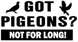 GOT PIGEONS? NOT FOR LONG! trademark