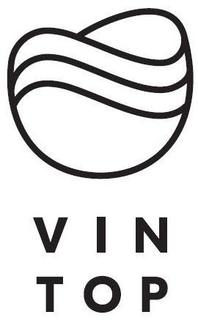 VIN TOP trademark