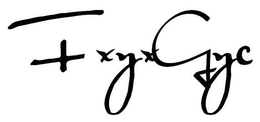FXYXGYC trademark