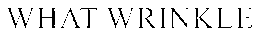 WHAT WRINKLE trademark