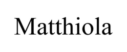 MATTHIOLA trademark