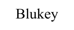 BLUKEY trademark