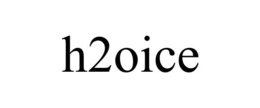 H2OICE trademark