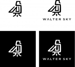 WS WS WALTER SKY WS WS WALTER SKY trademark