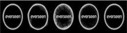 EVERSEEN trademark