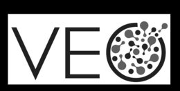 VEO trademark