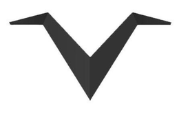 V trademark