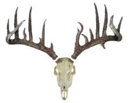 HILL BILLY trademark