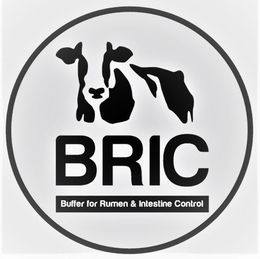 BRIC BUFFER FOR RUMEN & INTESTINE CONTROL trademark