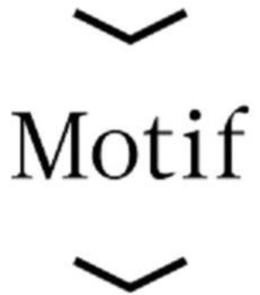 MOTIF trademark