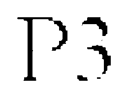 P3 trademark