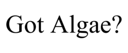 GOT ALGAE? trademark