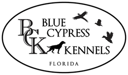 BCK BLUE CYPRESS KENNELS FLORIDA trademark