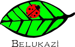 BELUKAZI trademark