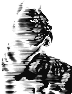 LogoMark trademark