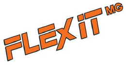 FLEXITMG trademark