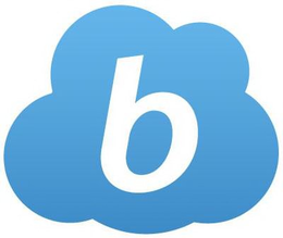 B trademark