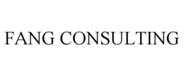 FANG CONSULTING trademark