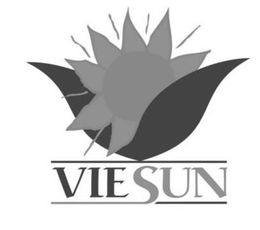 VIESUN trademark