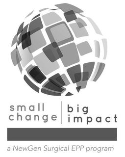 SMALL CHANGE BIG IMPACT A NEWGEN SURGICAL EPP PROGRAM trademark