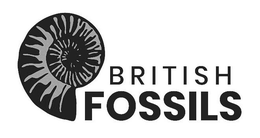 BRITISH FOSSILS trademark