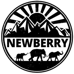 NEWBERRY trademark