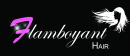 FLAMBOYANT HAIR trademark
