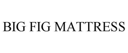 BIG FIG MATTRESS trademark
