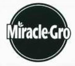 MIRACLE-GRO trademark