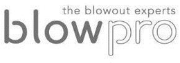THE BLOWOUT EXPERTS BLOWPRO trademark