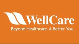 WELLCARE BEYOND HEALTHCARE. A BETTER YOU. trademark
