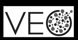 VEO trademark