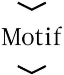 MOTIF trademark