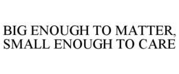 BIG ENOUGH TO MATTER, SMALL ENOUGH TO CARE trademark