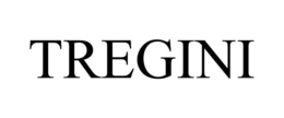 TREGINI trademark