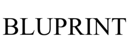 BLUPRINT trademark