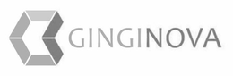 GINGINOVA trademark