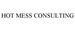 HOT MESS CONSULTING trademark