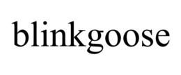 BLINKGOOSE trademark