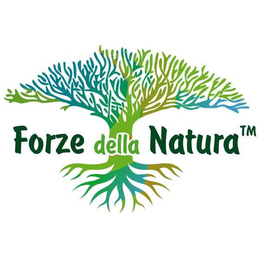 FORZE DELLA NATURA trademark