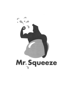 MR. SQUEEZE trademark