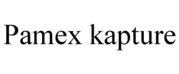 PAMEX KAPTURE trademark