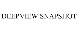 DEEPVIEW SNAPSHOT trademark