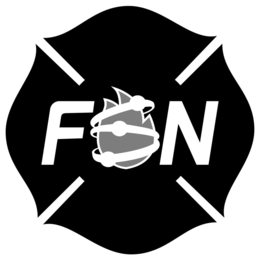 FSN trademark