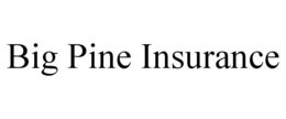 BIG PINE INSURANCE trademark