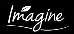 IMAGINE trademark