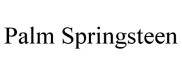 PALM SPRINGSTEEN trademark