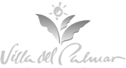 VILLA DEL PALMAR trademark
