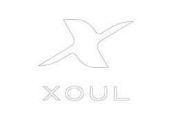 X XOUL trademark